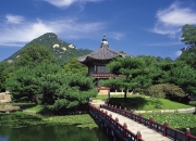 开云官网-孤星耀世，2026世界杯C组，罗马尼亚掀翻奥地利，贝林厄姆的独舞之夜