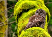 开云平台-潘帕斯雄鹰折翼前的惊魂夜，2026世界杯E组王者对话，穆西亚拉凌空破晓，阿根廷险胜瑞士写就生死书