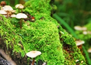 开云体育中国-个人能力的璀璨星辰与团队胜利的磅礴浪潮，基米希与几内亚的双重奏