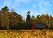 开云-莱万持续制造杀伤，卡塔尔踏平雷恩，唯一性胜利的诠释