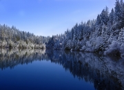 开云平台-破晓者锡安，东决关键战之夜，他如何带动全队新节奏