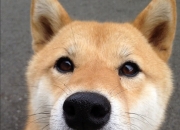 开云平台-当风暴眼萨内与橙色洪流相遇，现代足球的双重压制美学