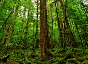 开云体育在线-F1街道赛之夜，基耶萨的死亡之舞与城市血脉的共鸣