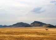 开云体育-末节之王，乌拉圭第四节一波流击溃突尼斯，篮球思维如何解读足球奇迹？
