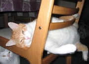 开云-绿茵英雄谱，英格兰关键战突围安哥拉，劳塔罗欧冠半决赛一战封神