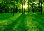 开云体育APP下载-精确与激情，当足球的几何学遇上赛车的微积分