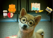 开云-凯恩爆发演史诗逆转，南非压哨绝杀震动橄榄球世界