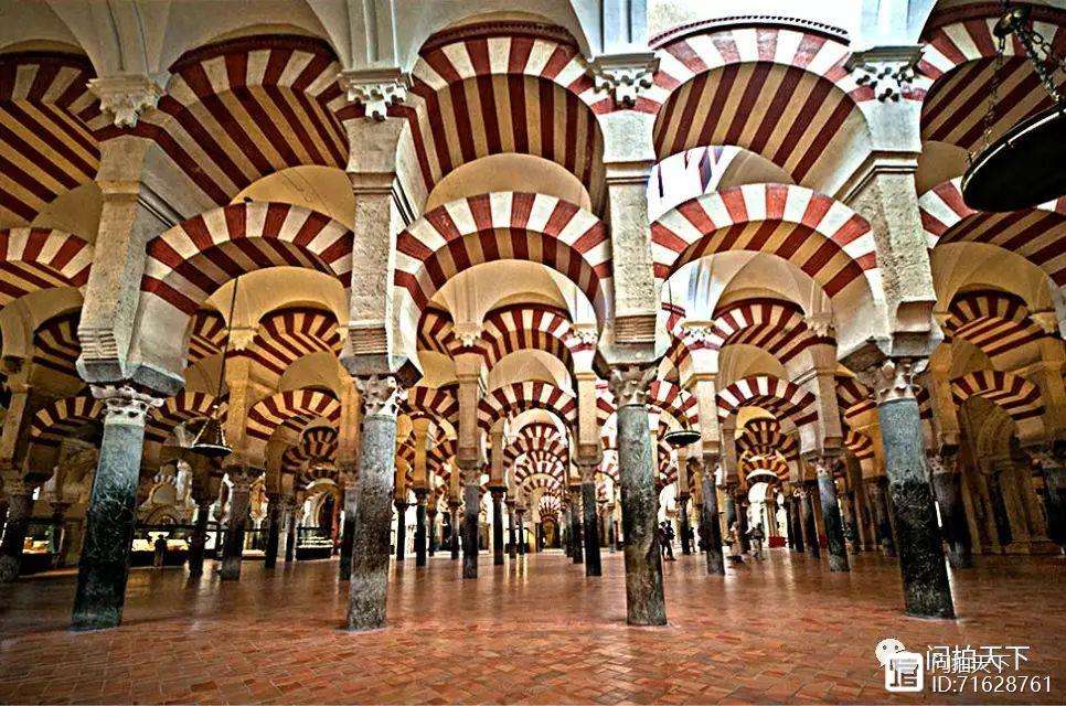 科尔多瓦主教练指导队员，决胜战场的简单介绍