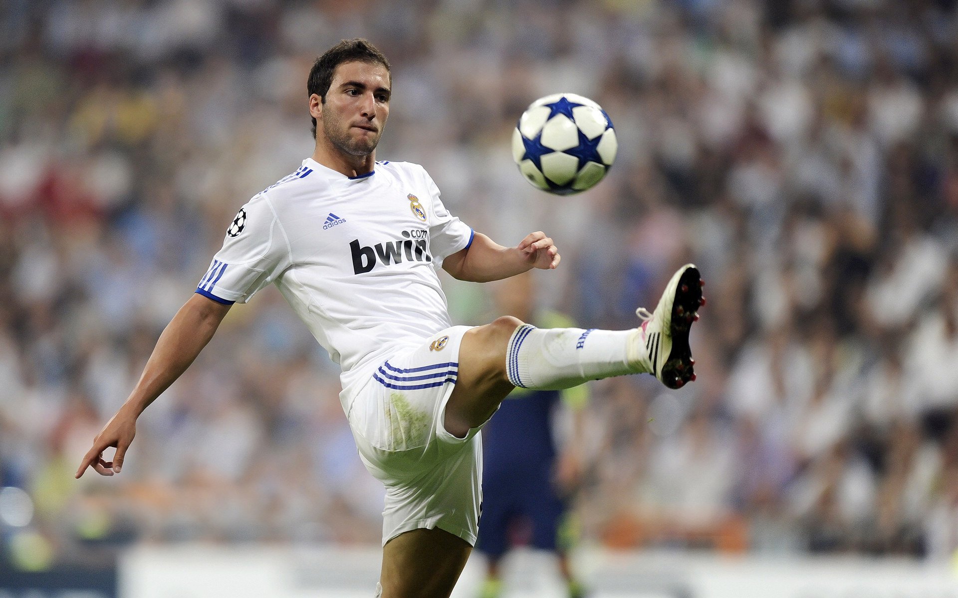 两座孤岛，当争冠的呐喊撞上生涯之夜的回响