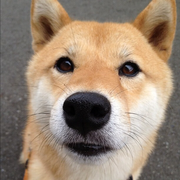 当风暴眼萨内与橙色洪流相遇,现代足球的双重压制美学