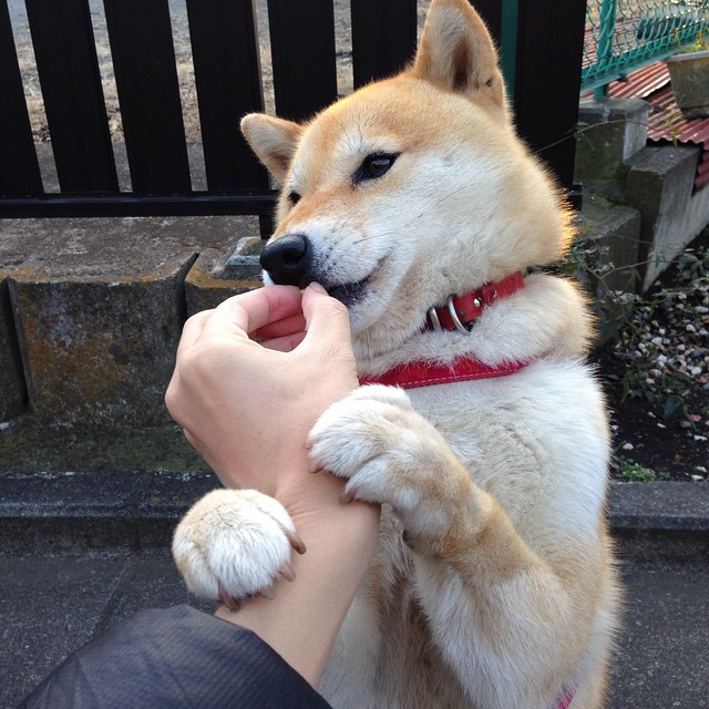 班凯罗43分点燃奥兰多,魔术顶住掘金反扑夺赛点