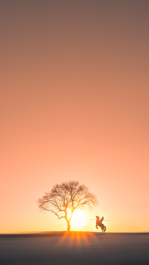 阿克，跨越历史的盾牌与剑—苏格兰对阵罗马的现代绿茵史诗