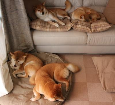 跨界巅峰对决,美加墨世界杯焦点战背后的数字密码与76人压制吉林队的战术镜像