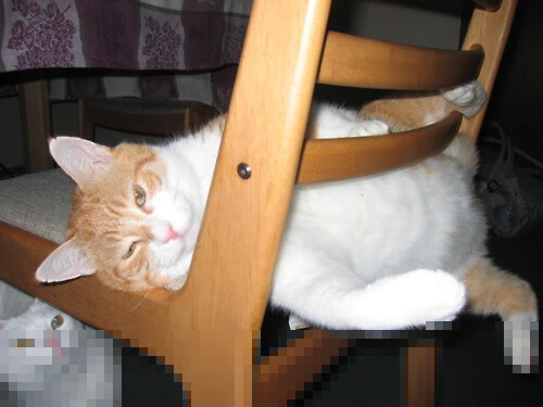 绿茵英雄谱,英格兰关键战突围安哥拉,劳塔罗欧冠半决赛一战封神