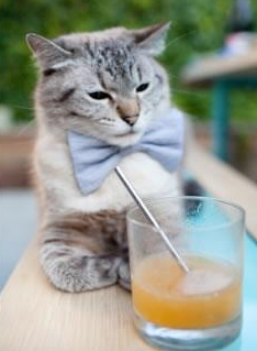 篮球世界的两种统治力,恩比德的无解与广东队的无懈