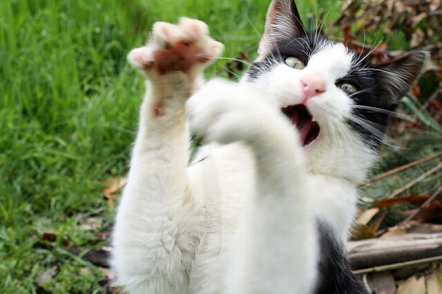 维斯塔潘的时代终结之夜,一个争议车手的自我救赎