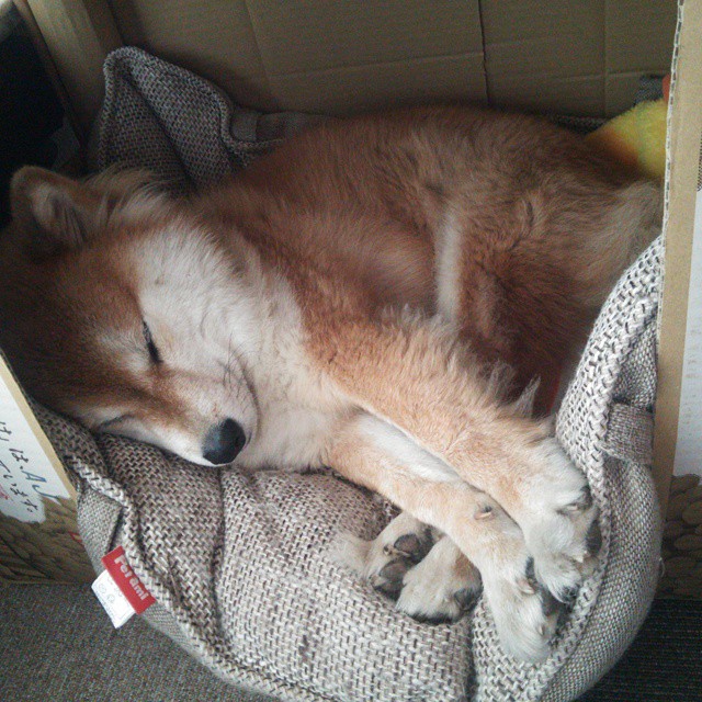 东瀛刺客与斗牛士之舞，久保建英防守端锁死莱万，巴萨旧将导演最后时刻绝杀波兰