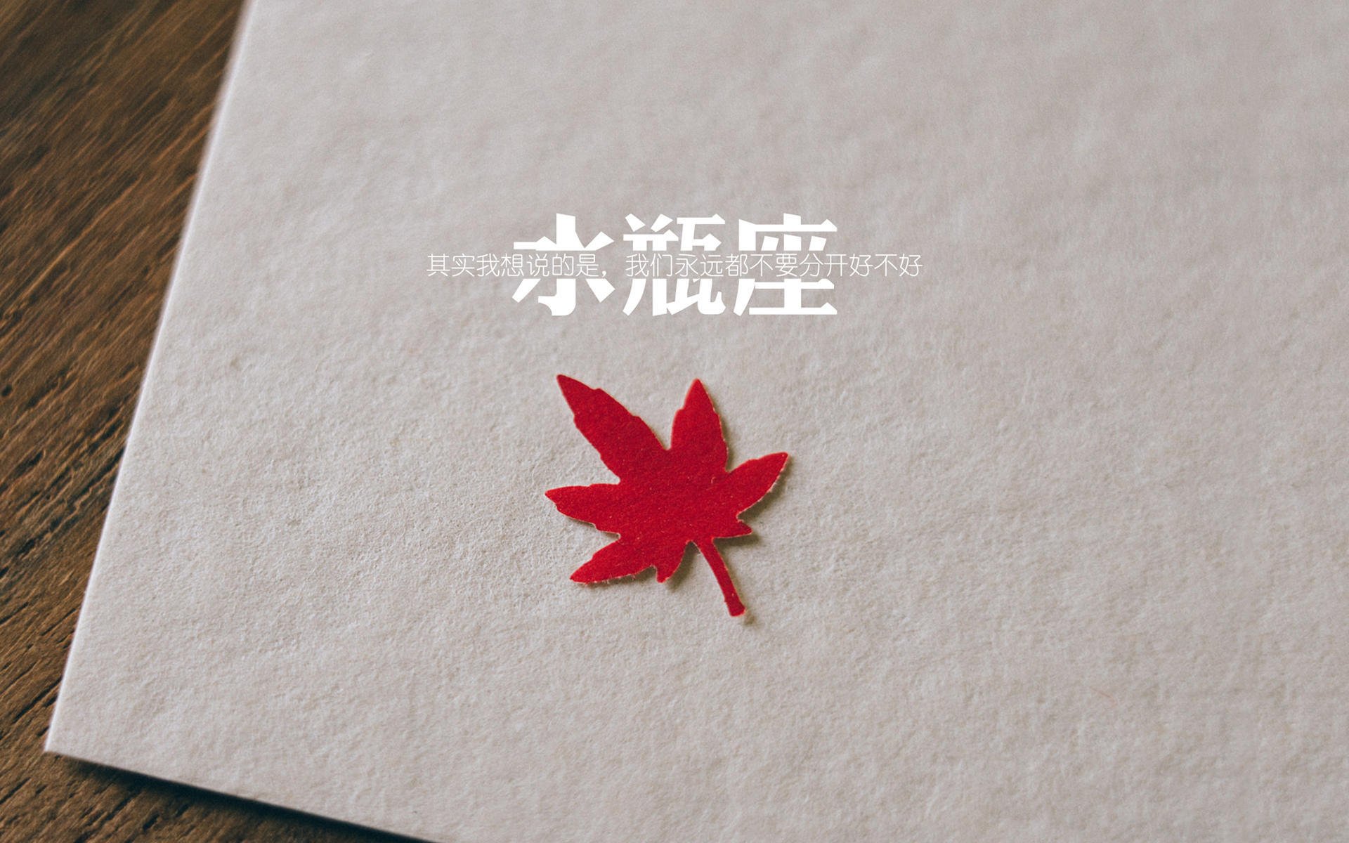 足球世界的共振,从德甲争冠夜到伊拉克的荣耀之战